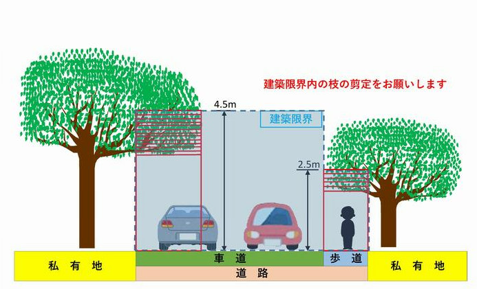 建築限界の場所を示したイラスト。車道の上空4.5メートル、歩道の上空2.5メートルの範囲内に木の枝がかかっており、建築限界内に障害となるものがあることを示しています。