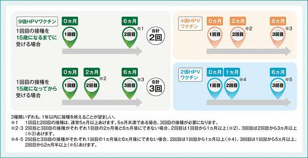 画像：接種間隔の説明のイラスト