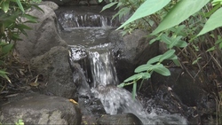 写真：市内の公園の水景
