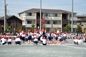写真：玉入れをする児童