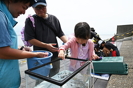 写真2：水槽をのぞく子ども