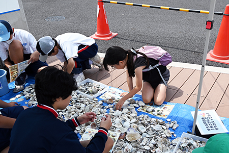 写真3：貝殻を選ぶ子どもたち